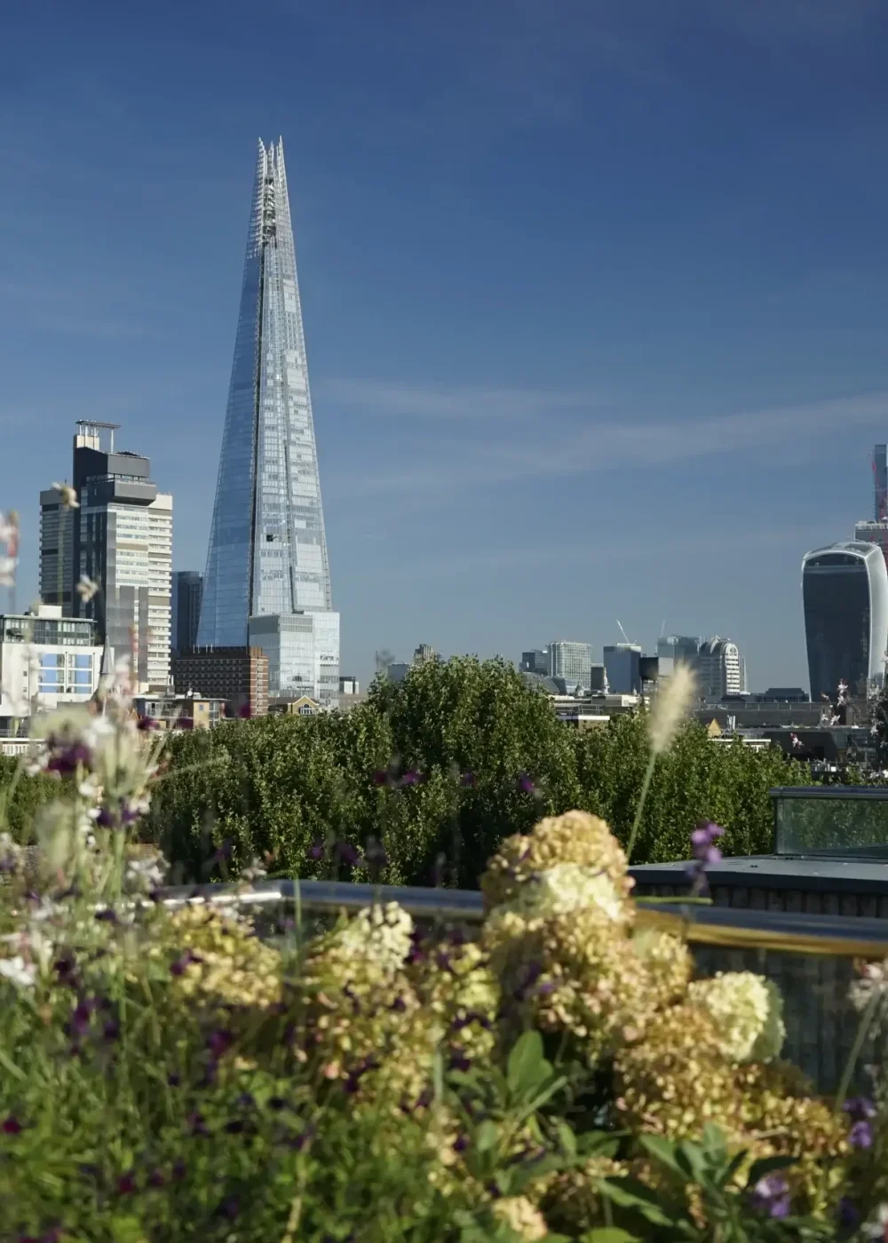 Balcony Design Ideas