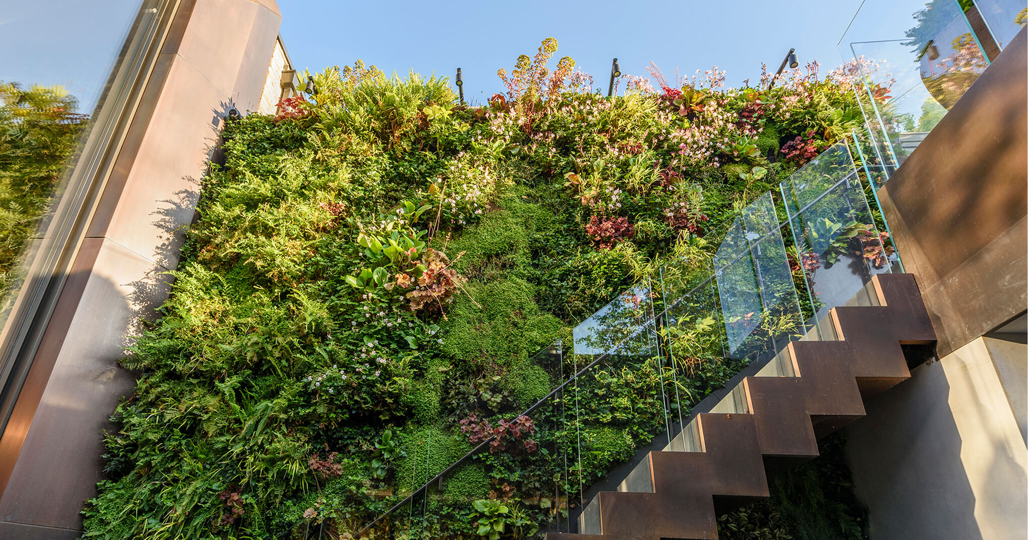 Wall garden with stairs