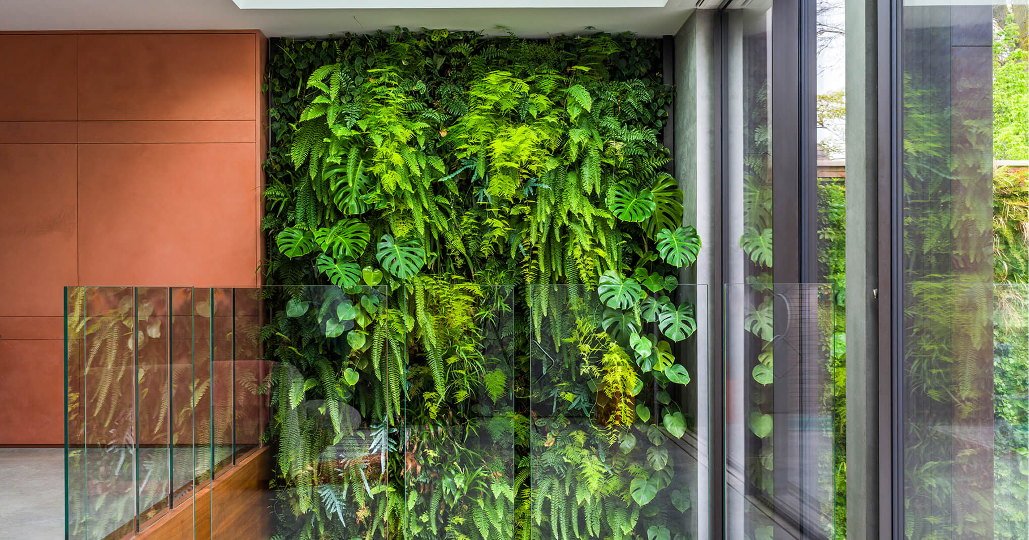 Indoor feature wall garden