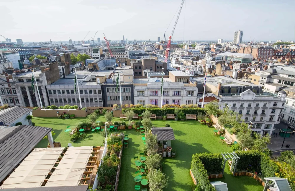 Garden design for businesses