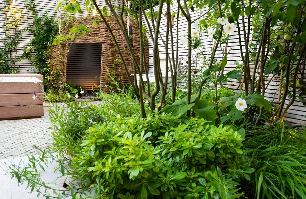 RHS Gardening Podcast: Maximising Minimal Garden Space Front garden design advice