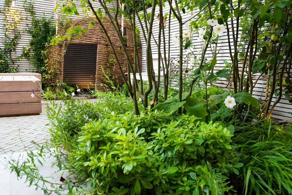 RHS Gardening Podcast: Maximising Minimal Garden Space Front garden design advice