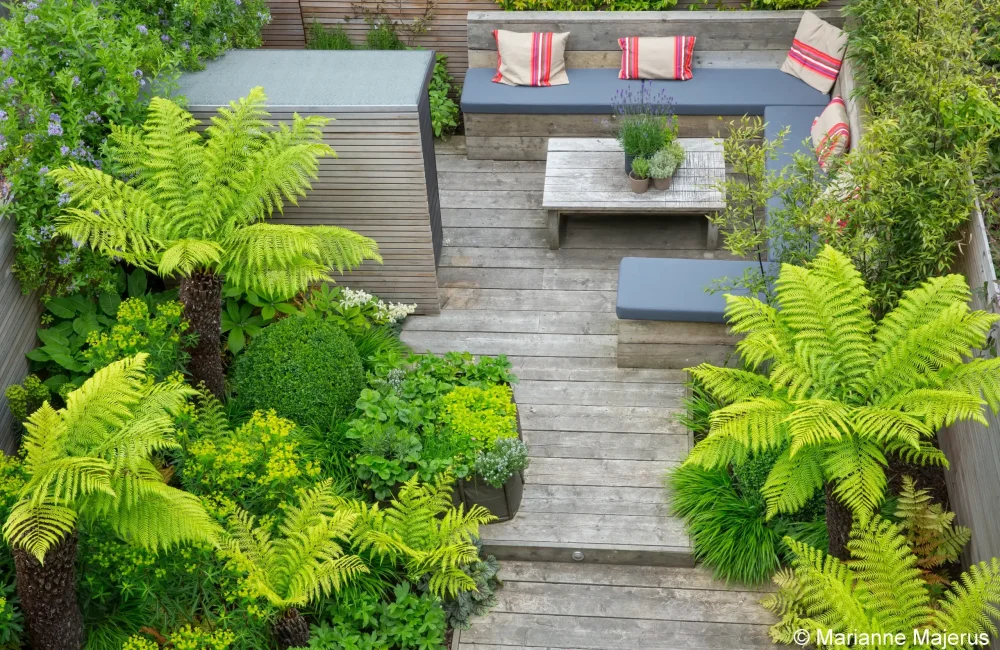 Small Urban Garden Design