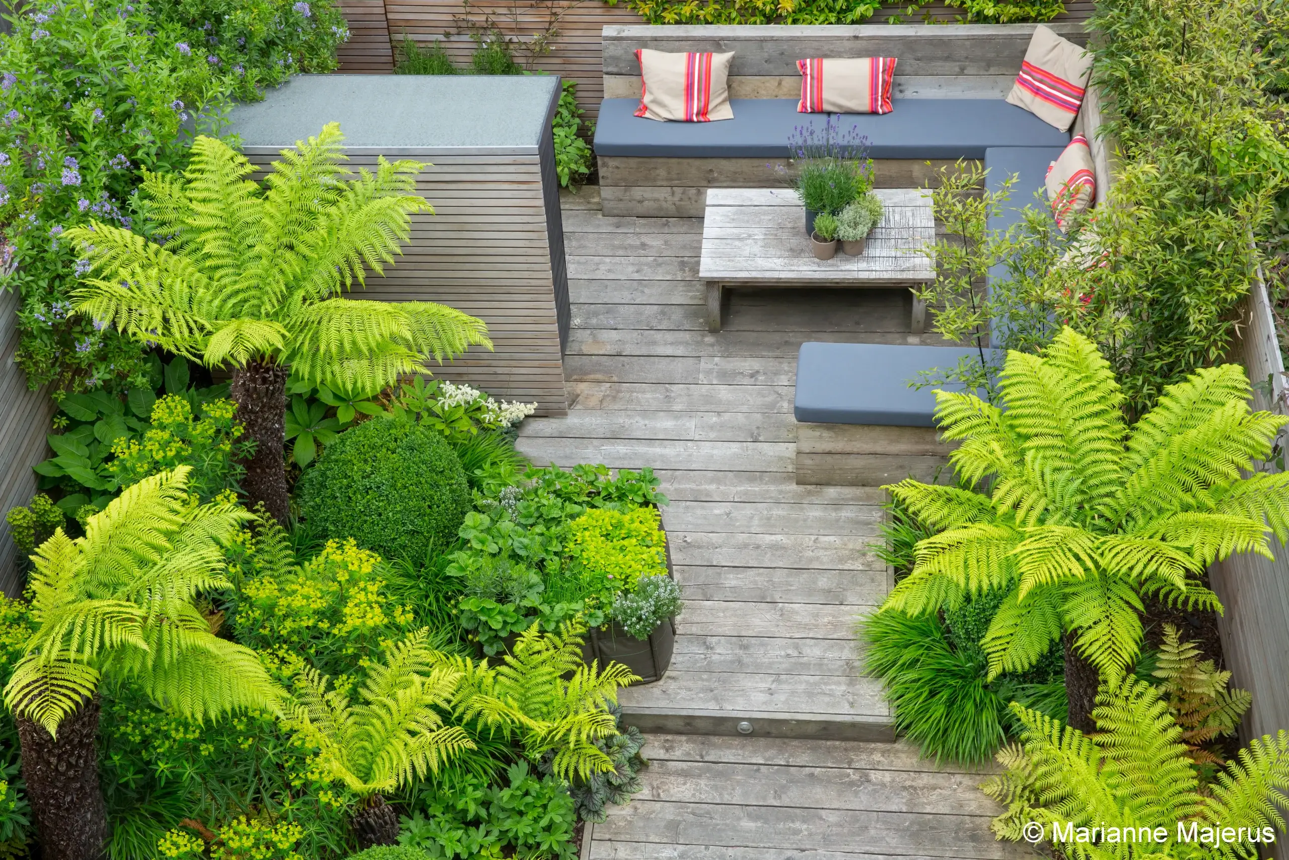 Small Urban Garden Design