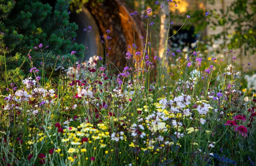 Sustainable Practices for Eco-friendly Landscaping Tips