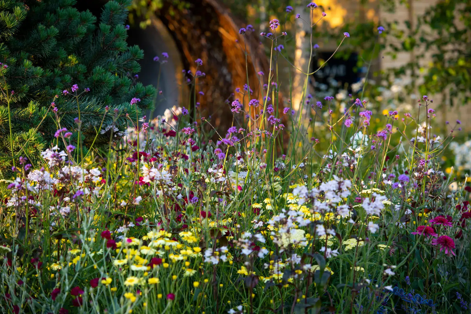 Sustainable Practices for Eco-friendly Landscaping Tips