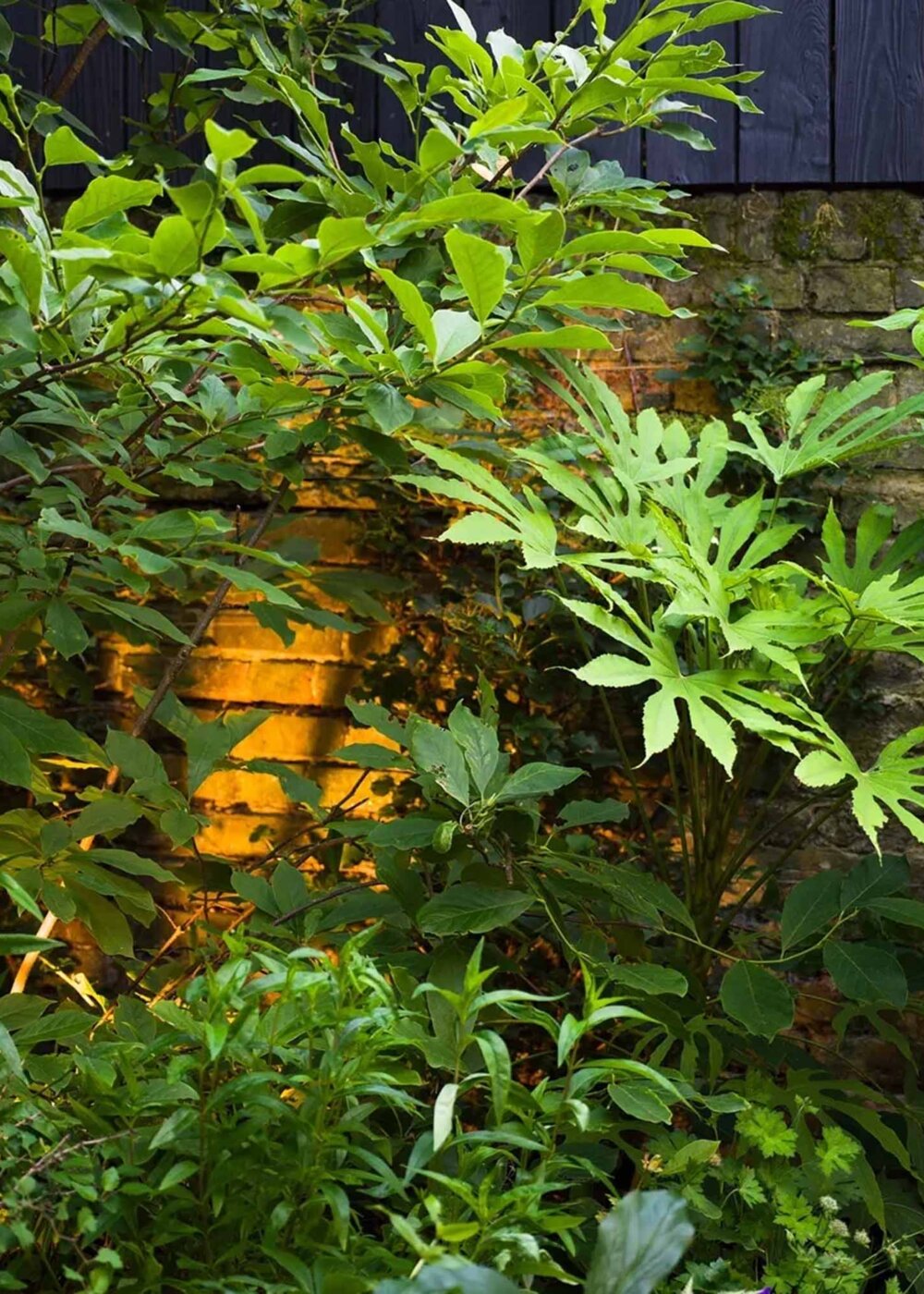 Planting for Shady Gardens