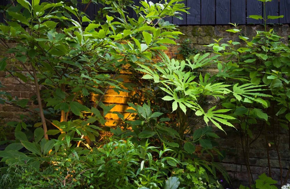 Planting for Shady Gardens